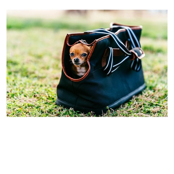 Vibrant Life Pet Tote Bag Carrier for Small Dogs & Cats 16 lbs  16” x 10” BNWT - Picture 8 of 15